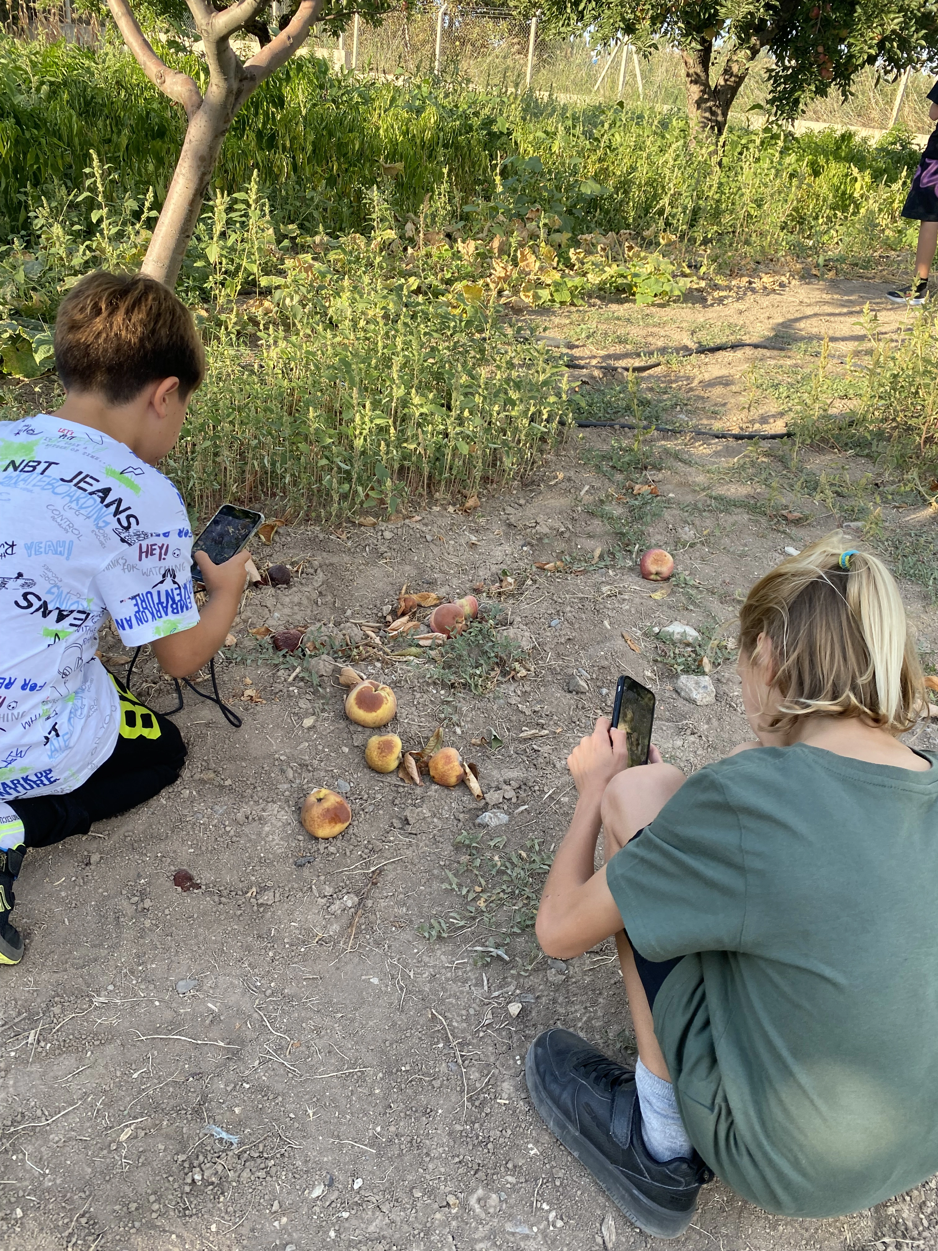 Farkına Var Açlık Var 2