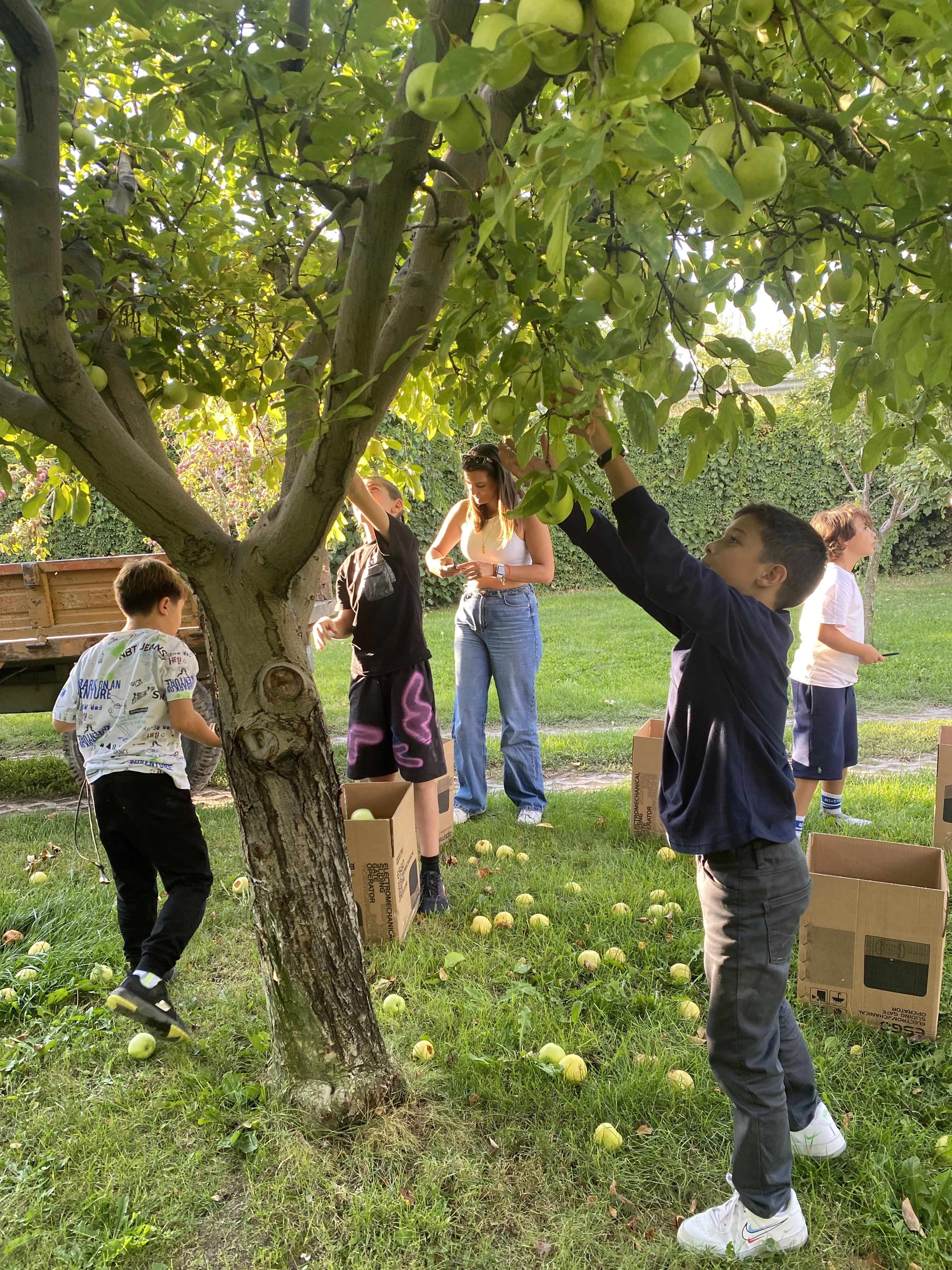 Farkına Var Açlık Var 3